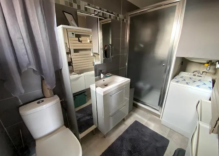 Apartamento Port : Mezzanine Climatise Avec Parking Prive, 4 Personnes - Fr-1-798-51