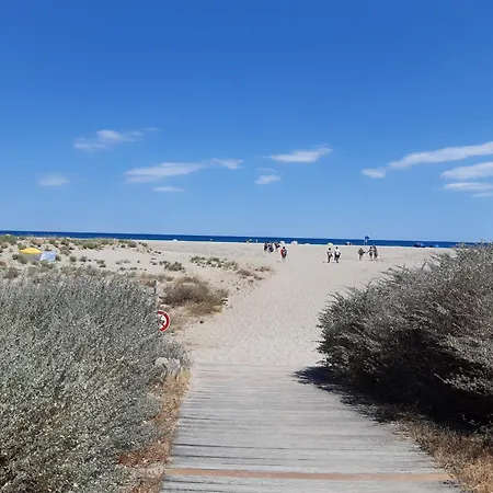 Port : Mezzanine Climatise Avec Parking Prive, 4 Personnes - Fr-1-798-51 Leucate